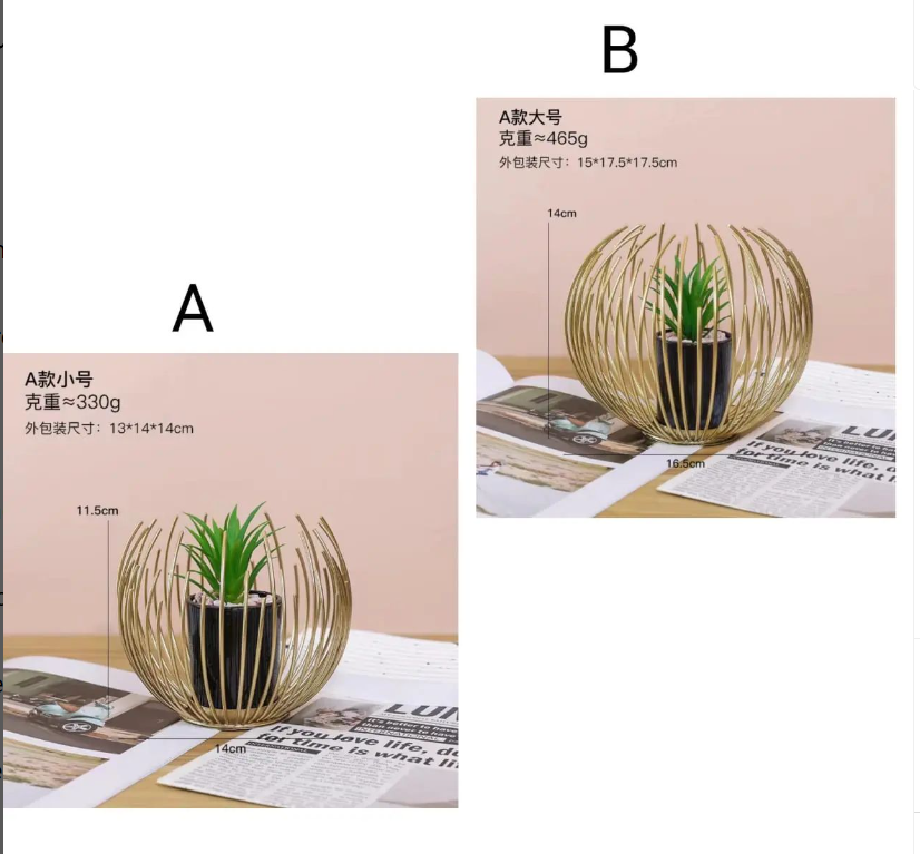 Nest Shaped Succulent